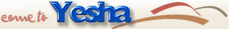 Art, Judaica and Products from YESHA