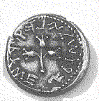 Mered Shekel